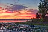 Bellamys Lake At Sunrise_13886-7